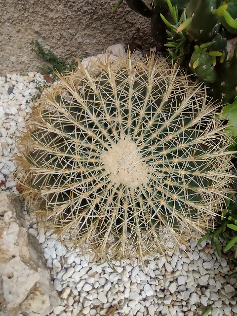 No s'ha trobat l'arxiu